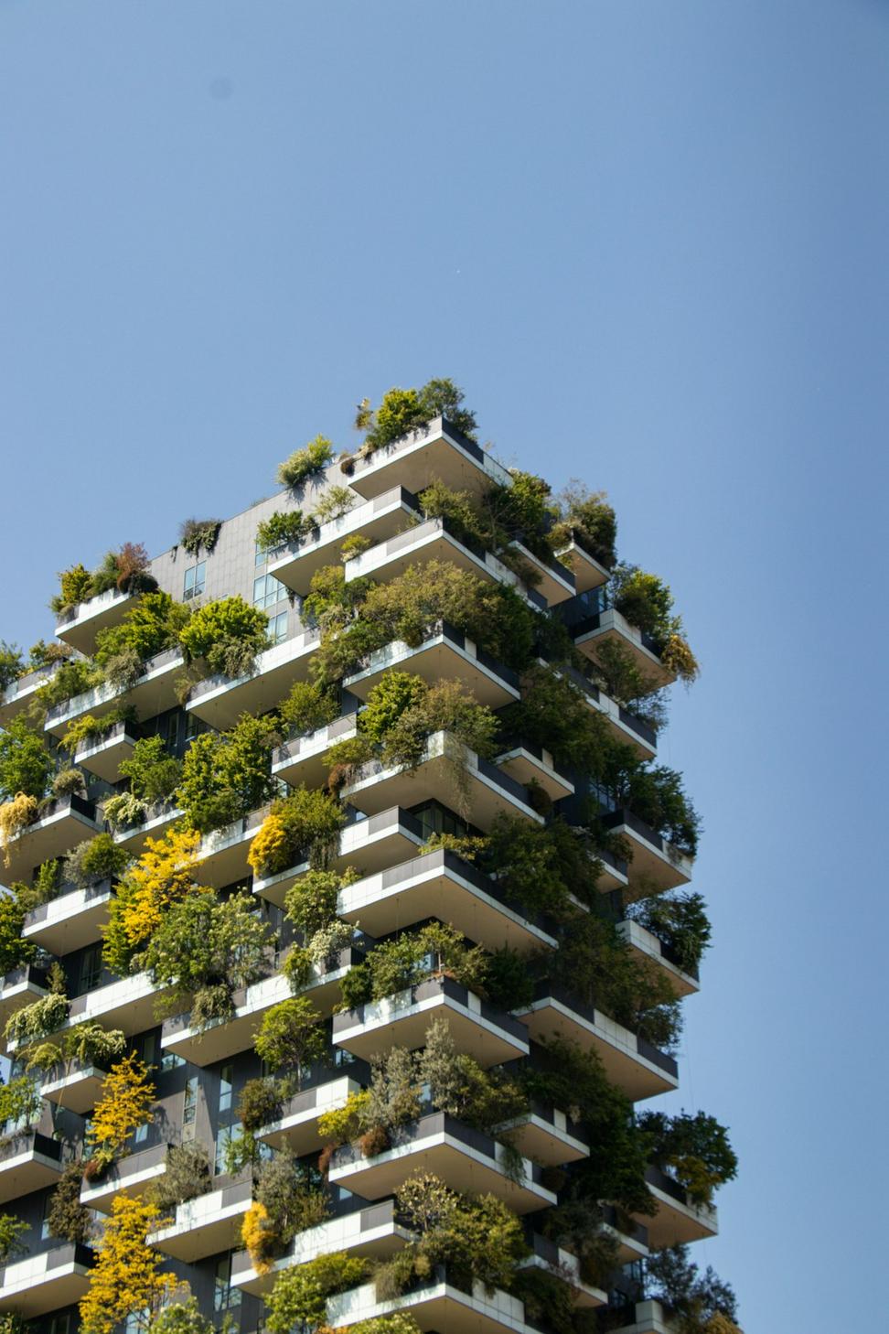 Sustainability Consulting