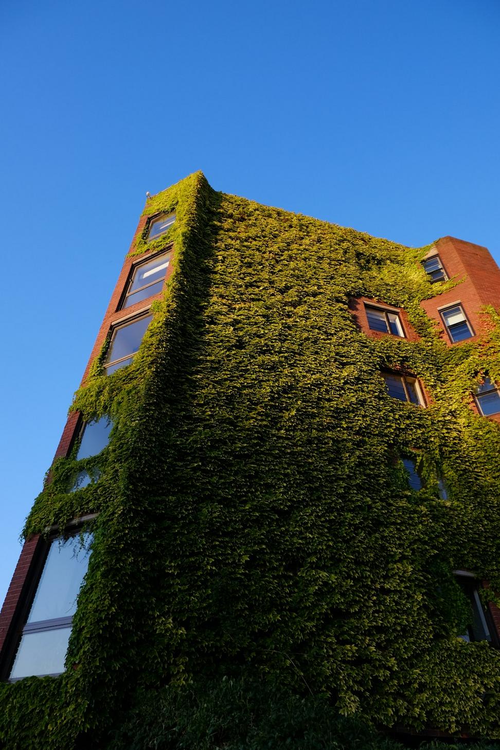 Gastown Office Tower